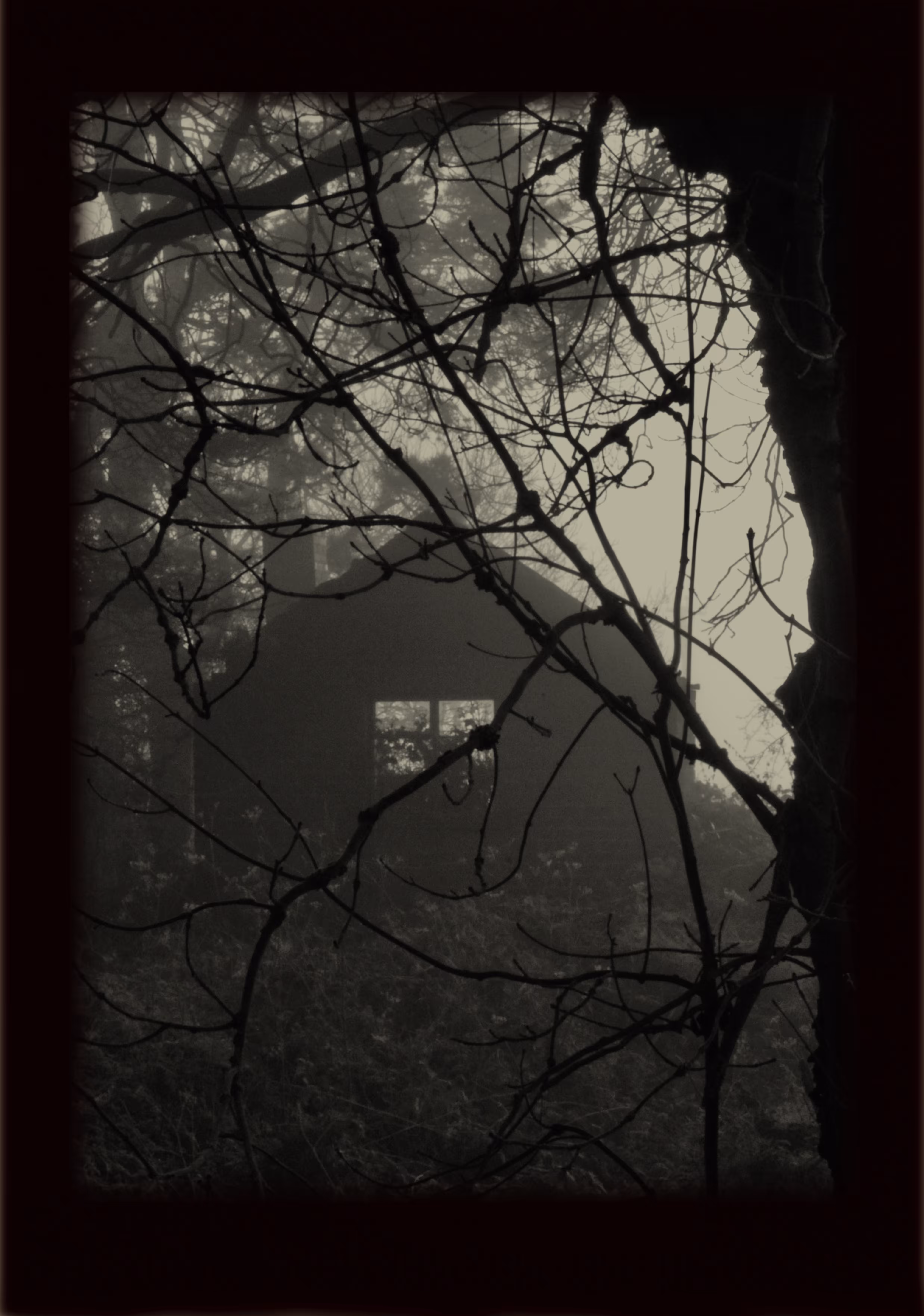 Josef's Window 2