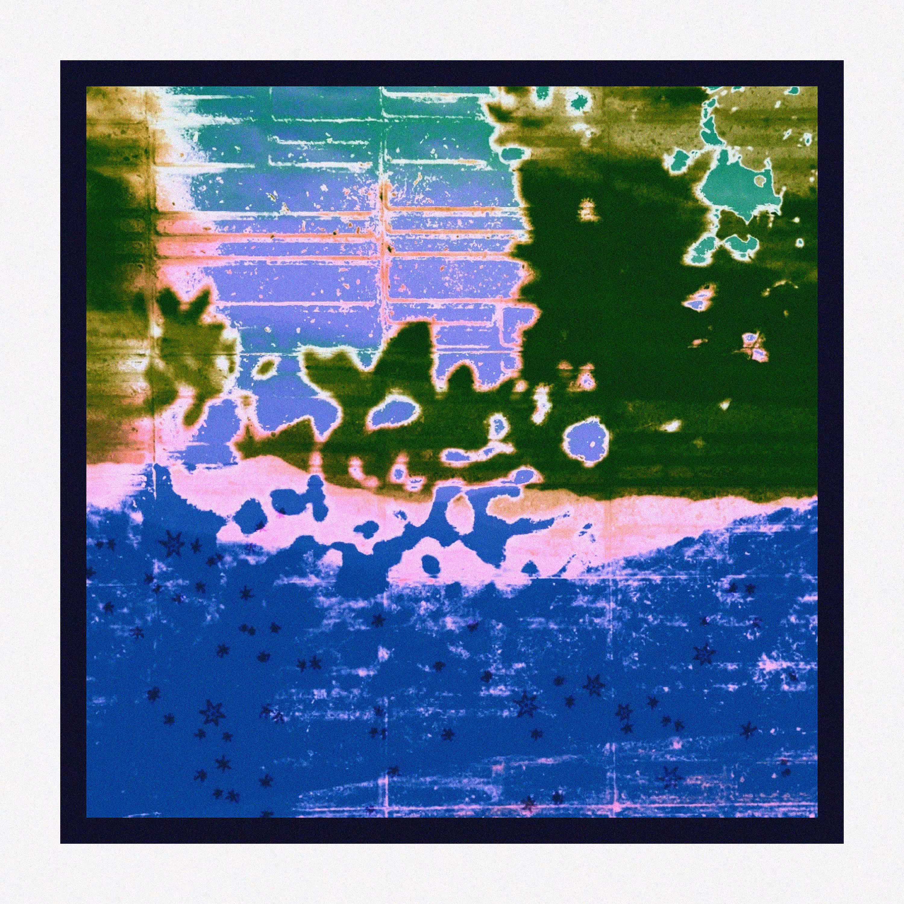 A Summer Night In The Garden