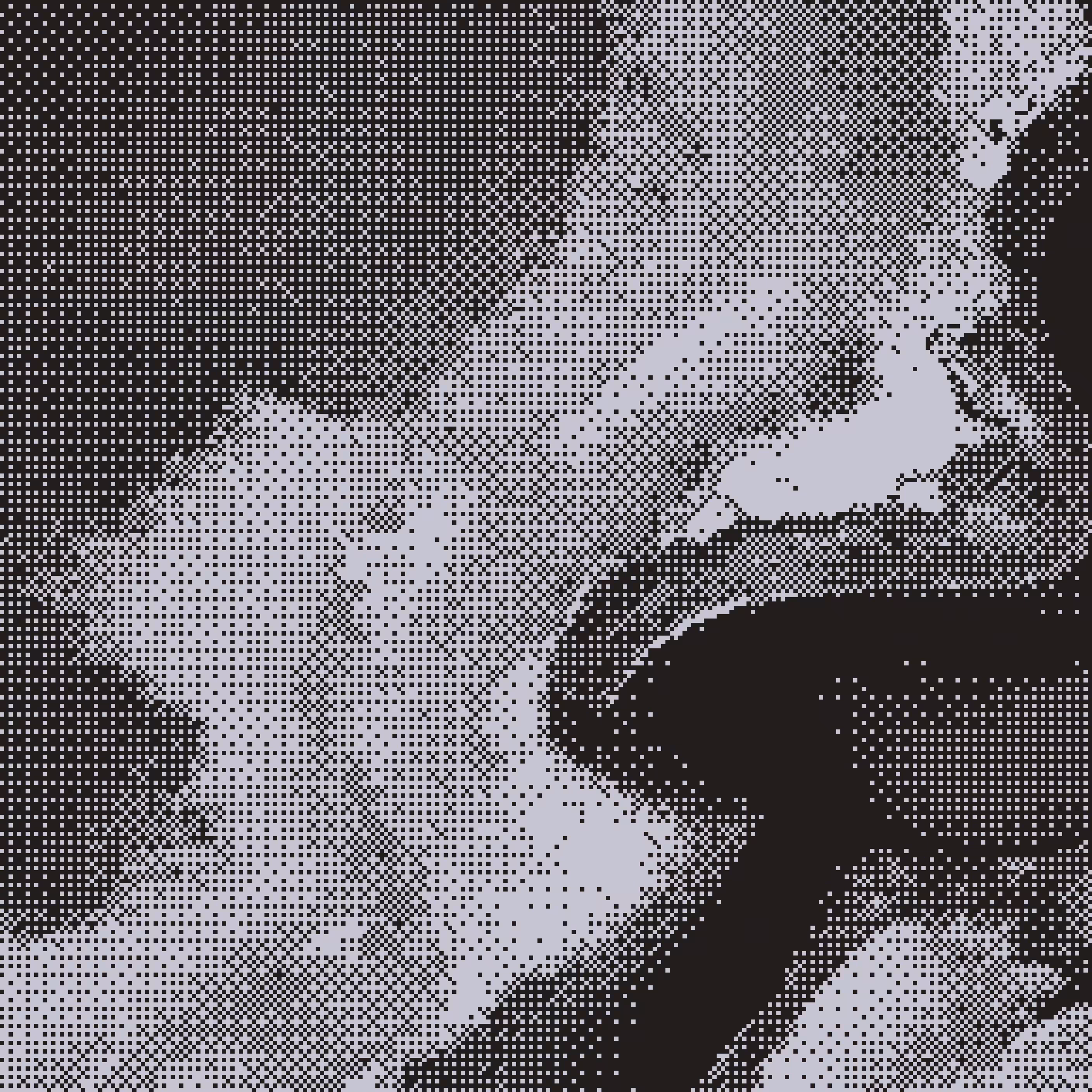/ RAID #8