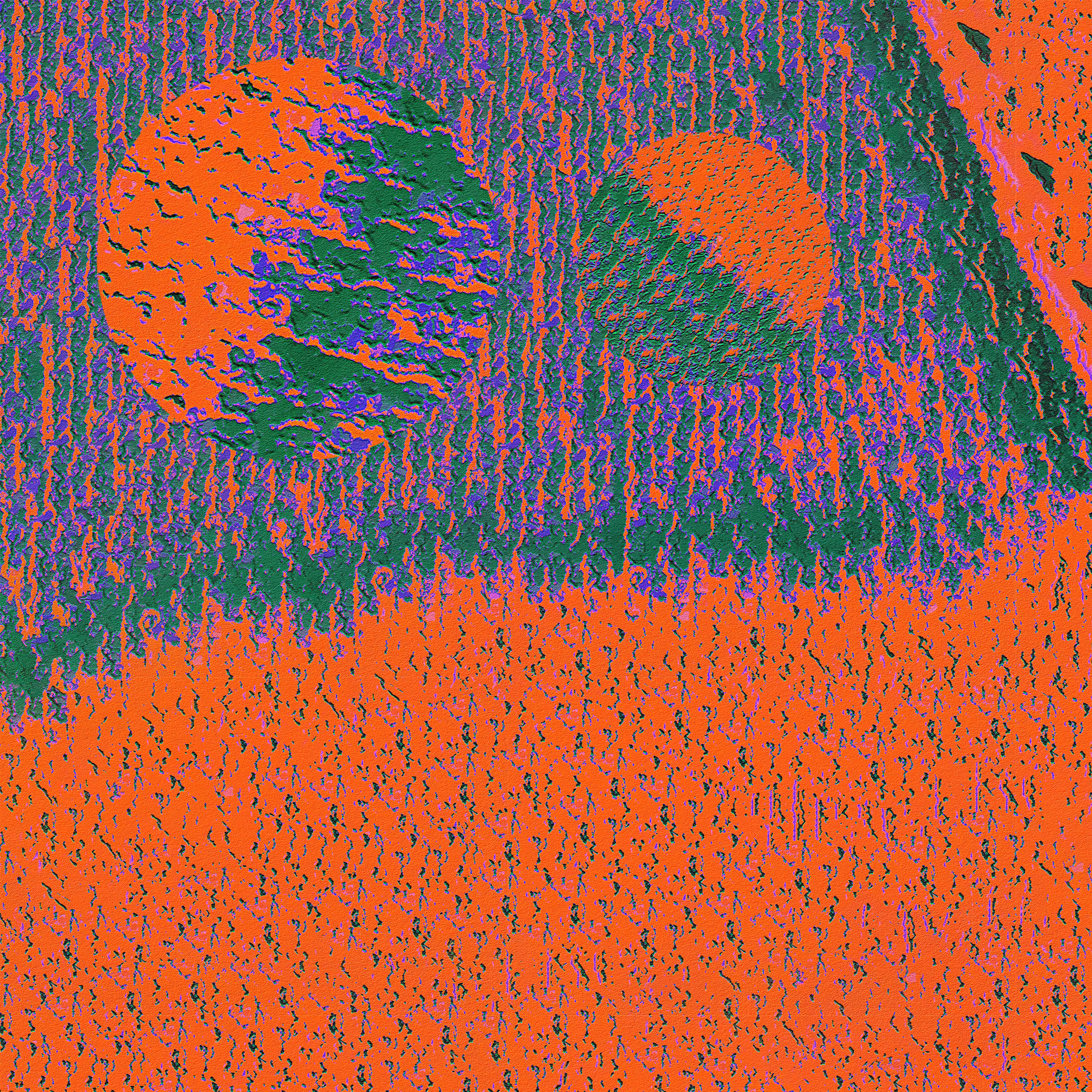Wildflowers LXXI