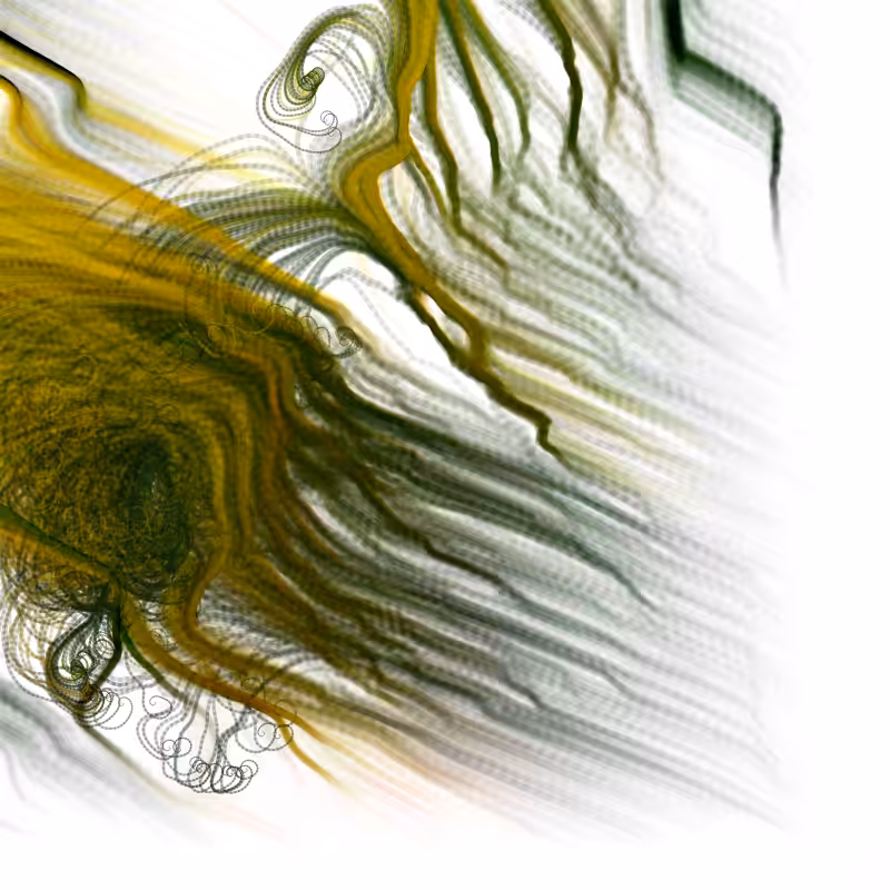 Hypericum #202