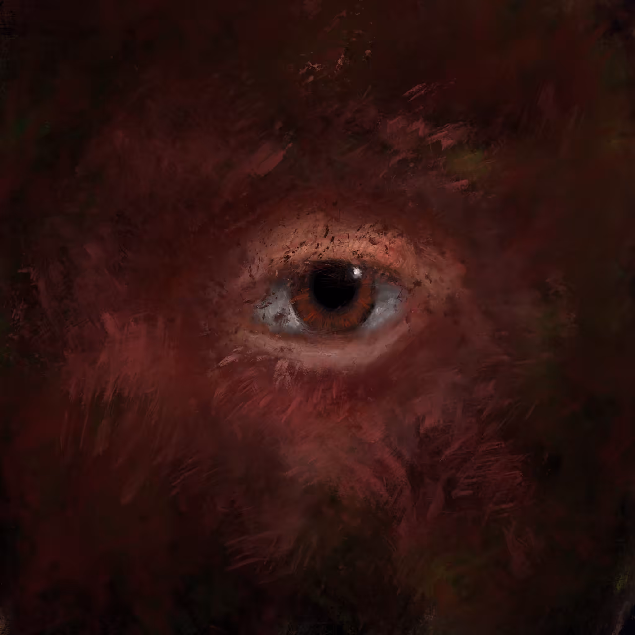 Eye