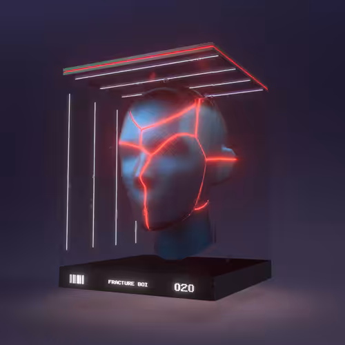 Fracture Boi: FRACTURE BOI - 020