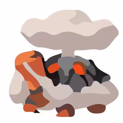 Torkoal #324