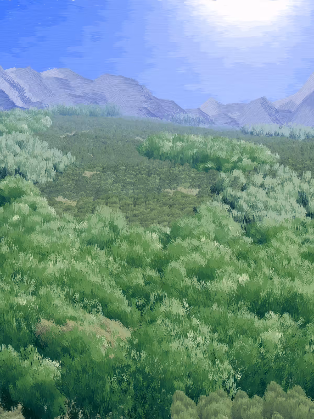 Provence #428