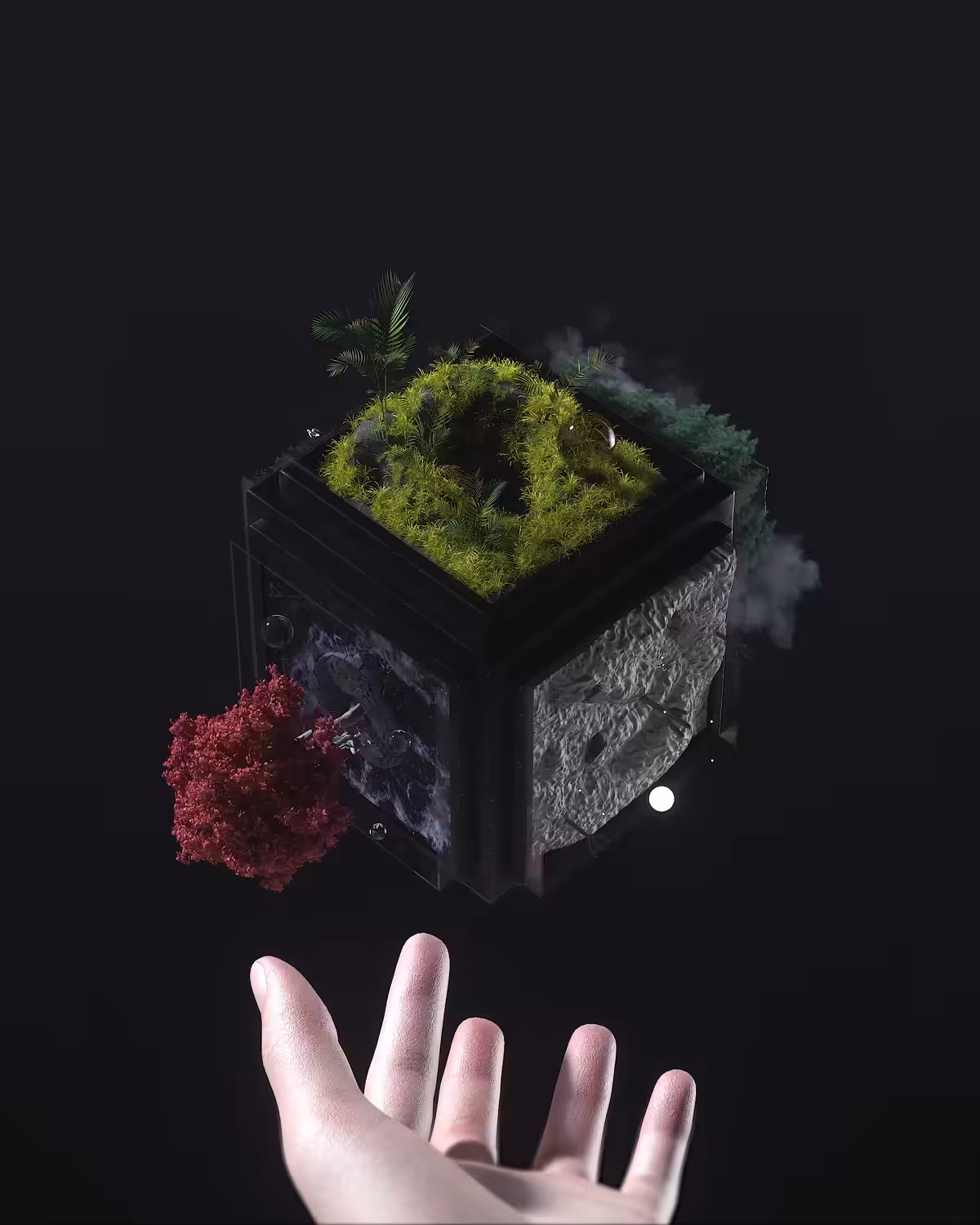 The Cube of Life