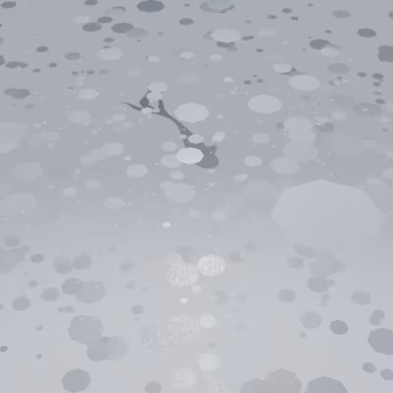 Pond #51