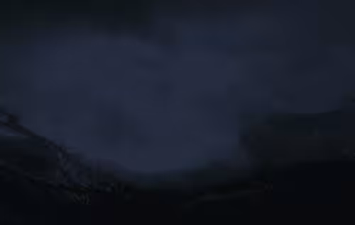 Hunting Night