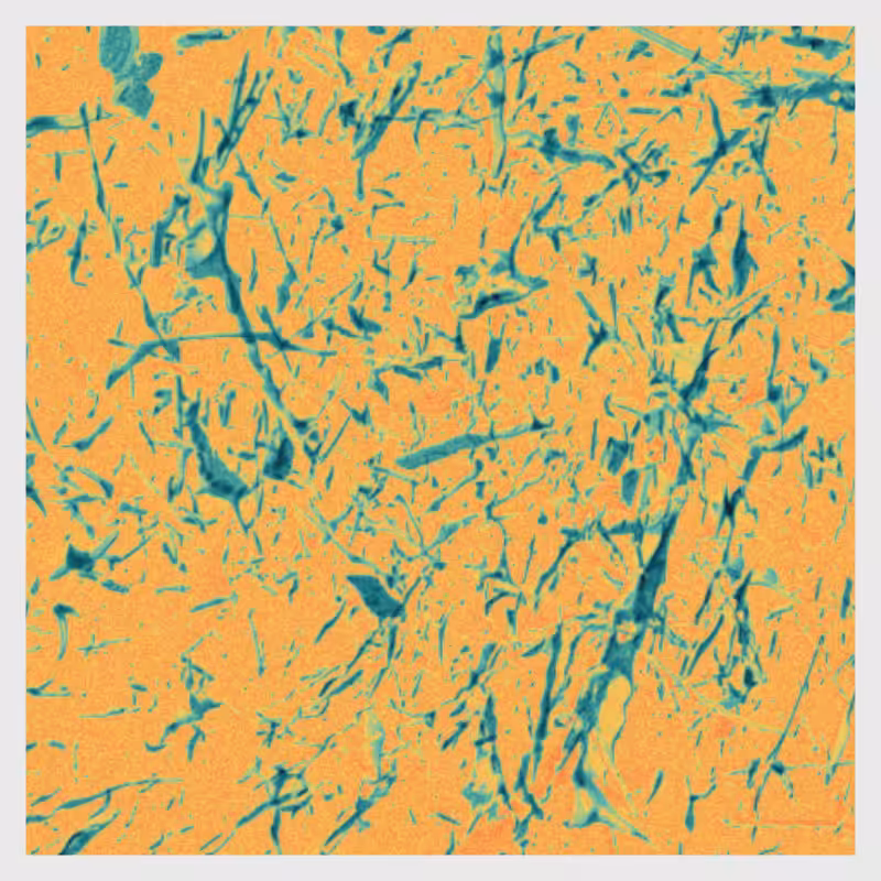 Dynamical System #7
