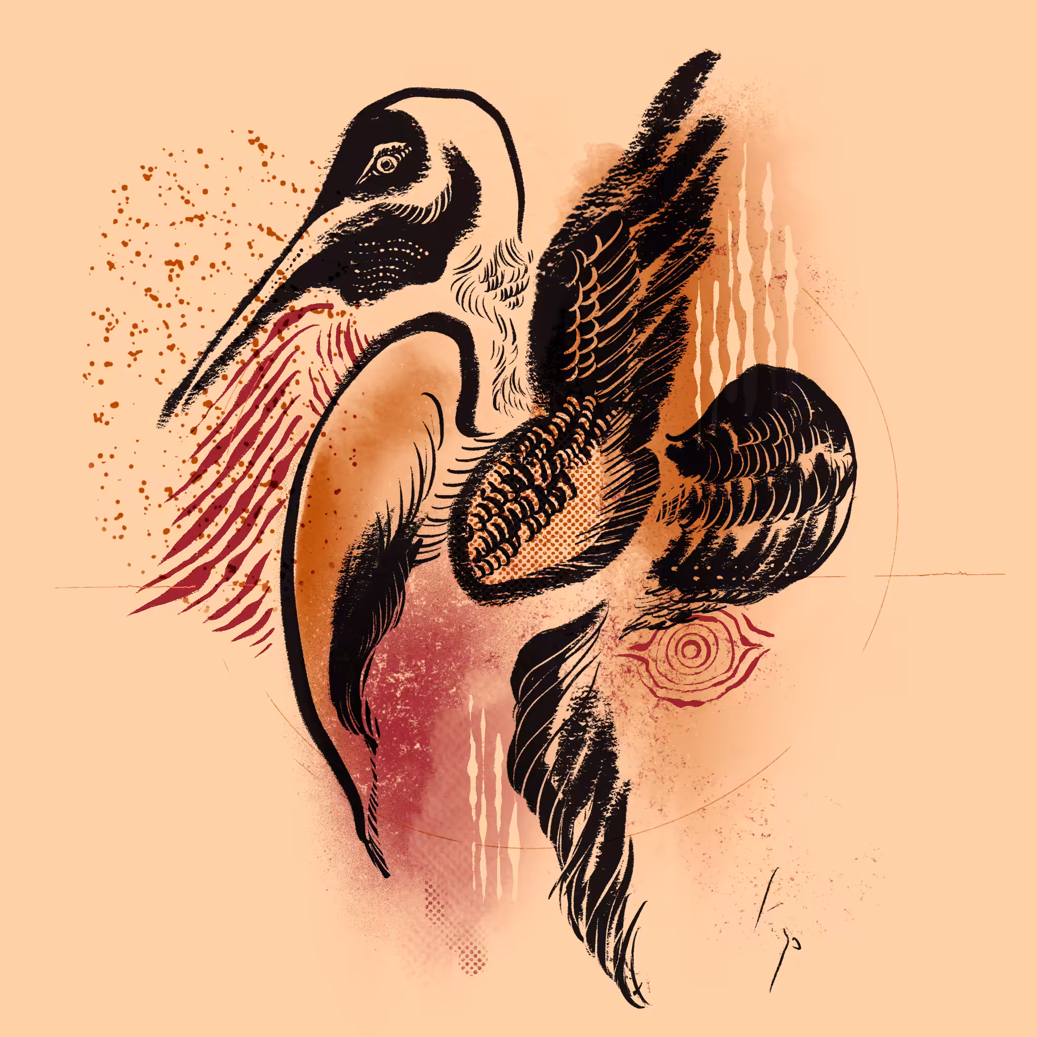 Antigone wings