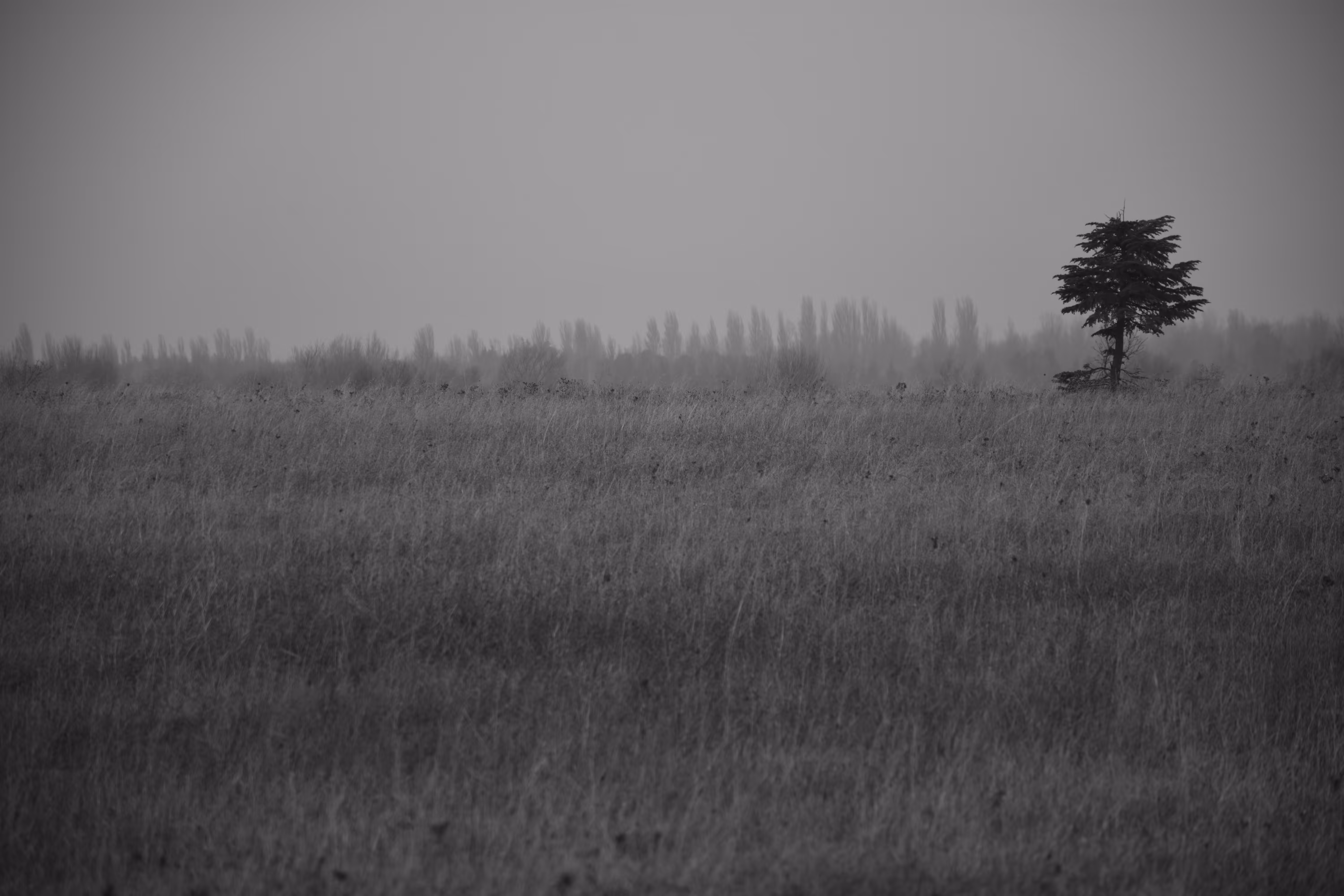 “Loneliness #2"