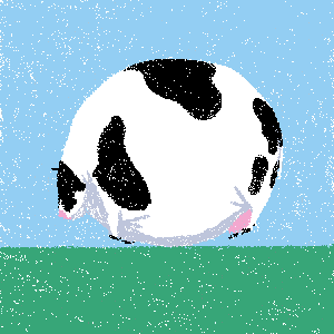 cow #70