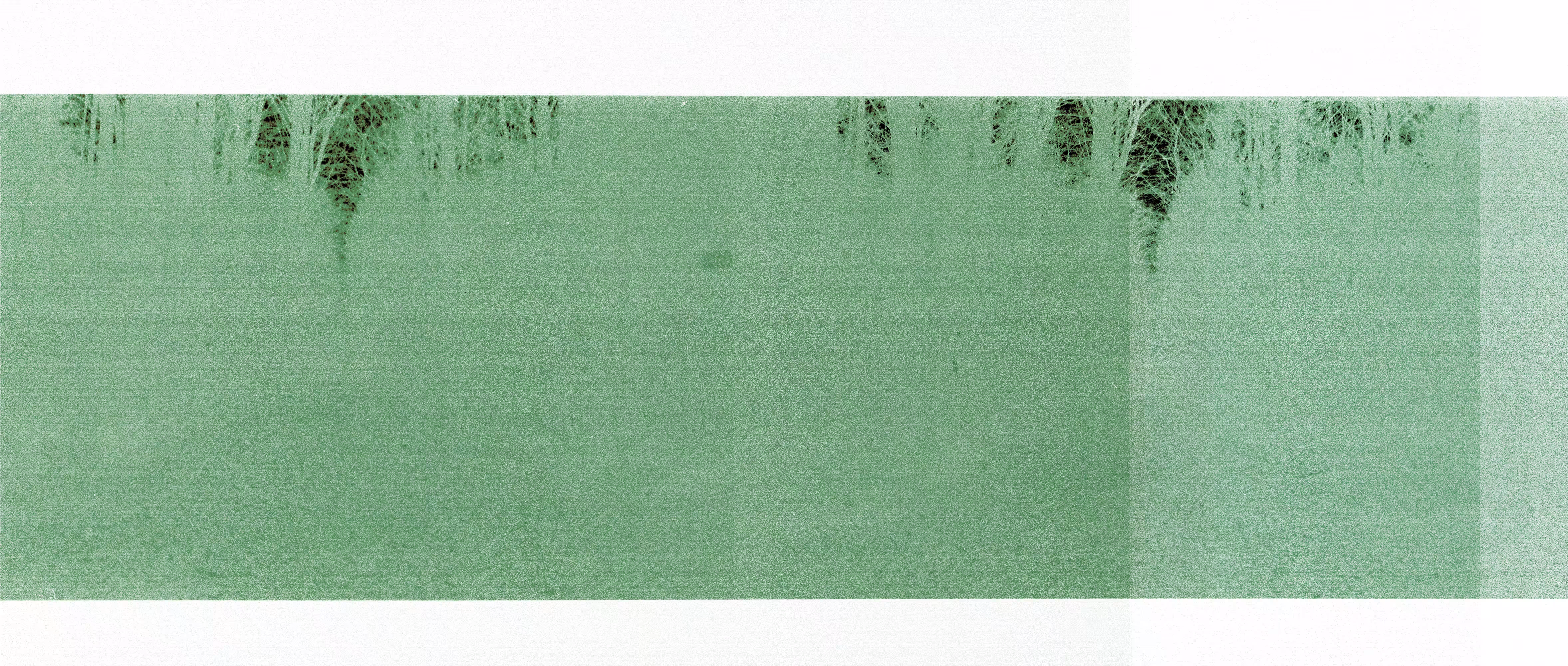 Green Lines