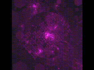 The Fractal Project #14
