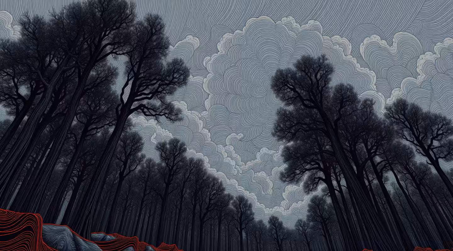 Landscape - 25