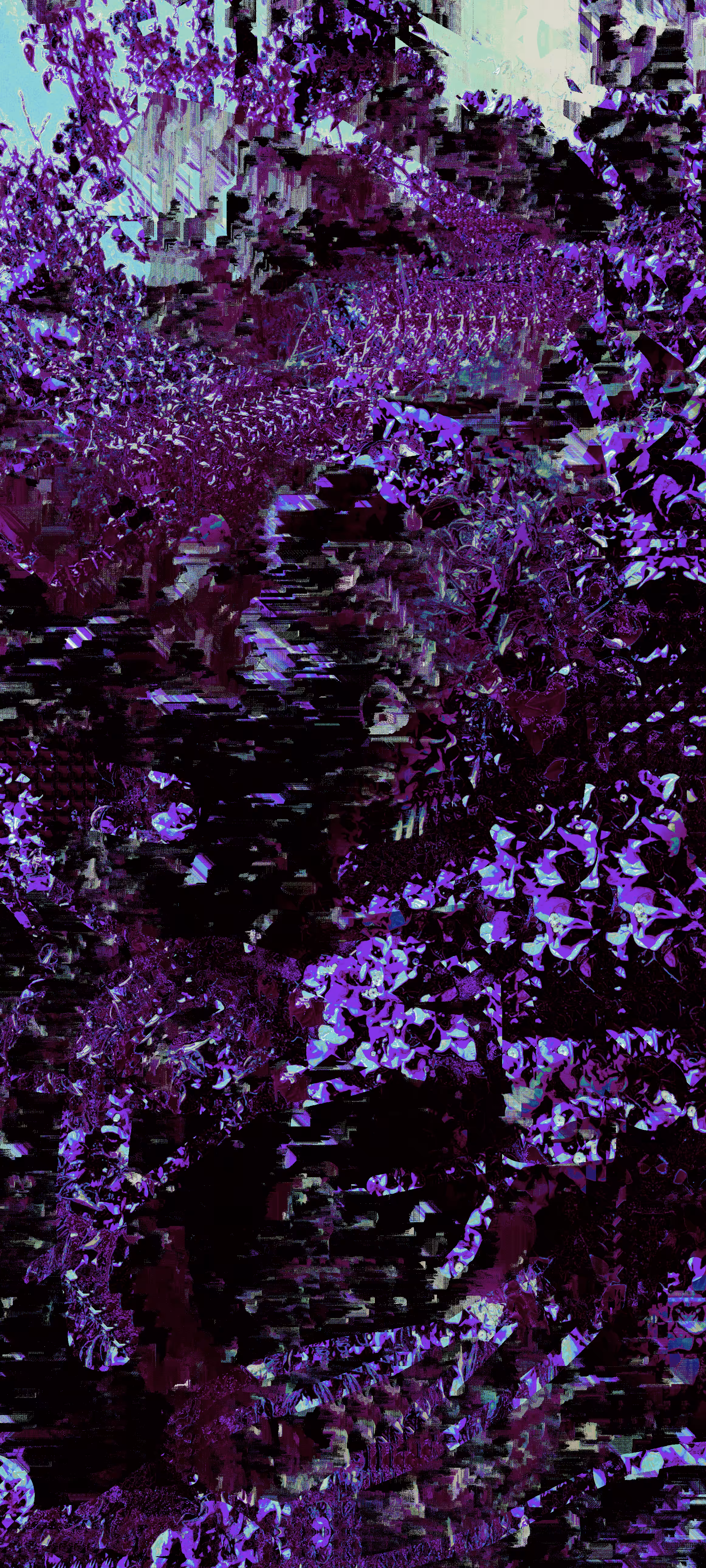 Flowers in my attic ‐ "💜"