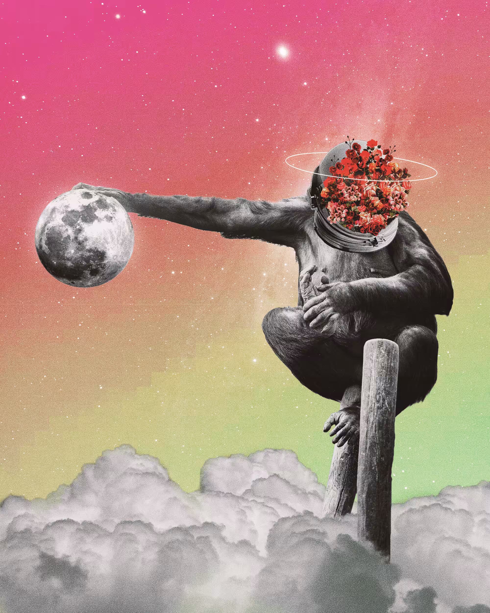 Space Sapiens