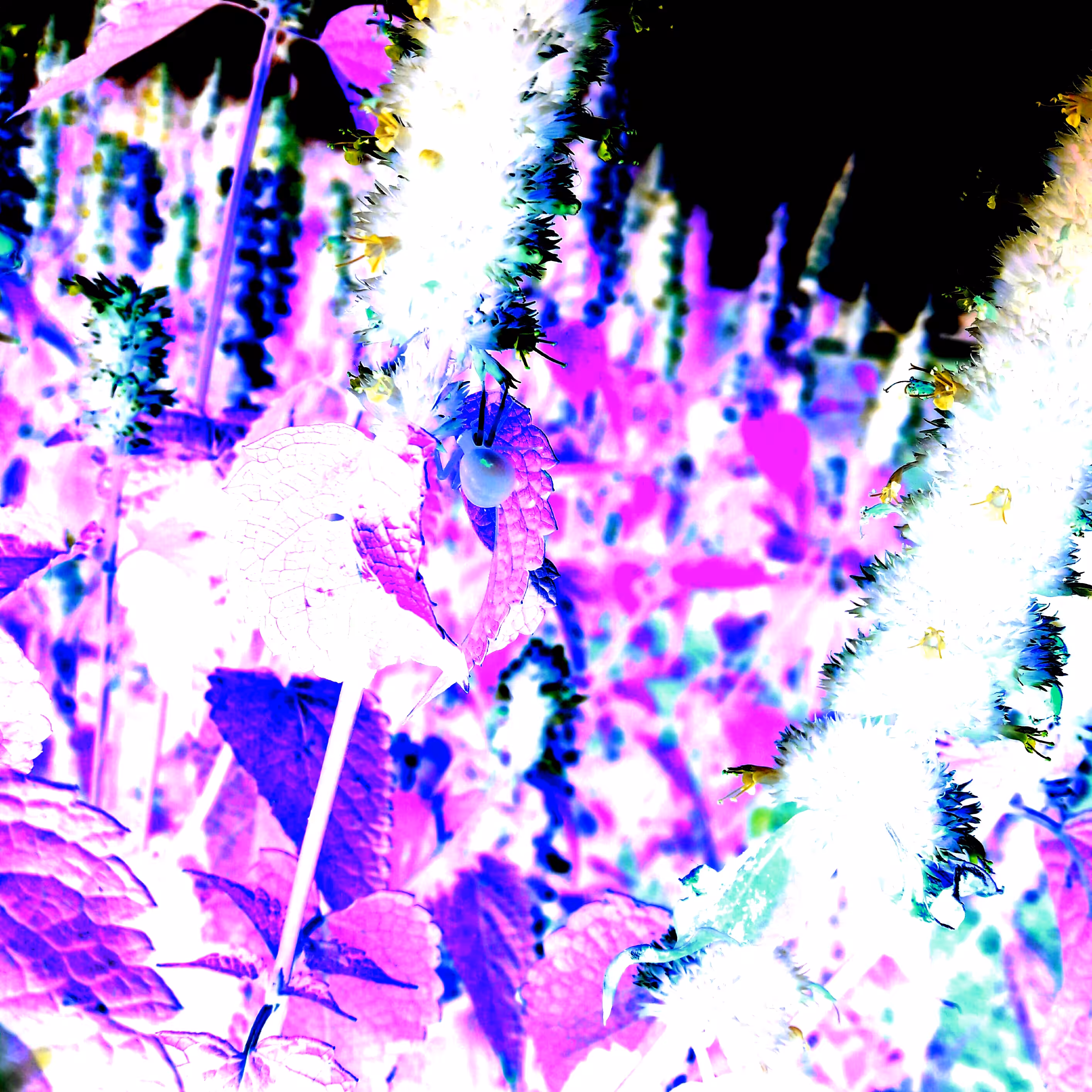 Trip 08