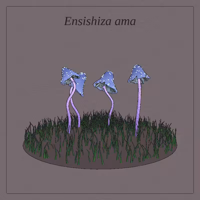 SHROOMS 3D #2