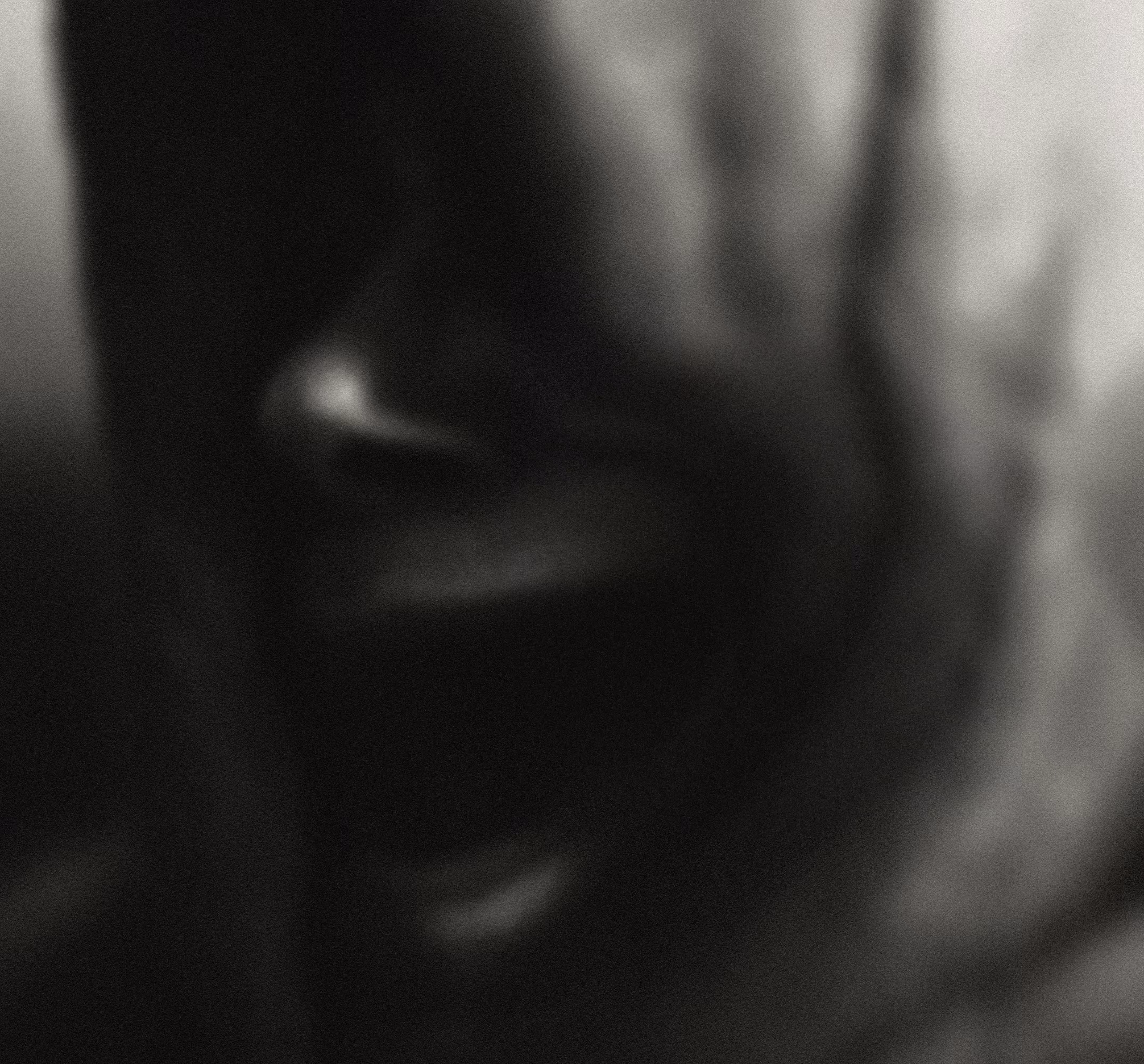 One Last Scream