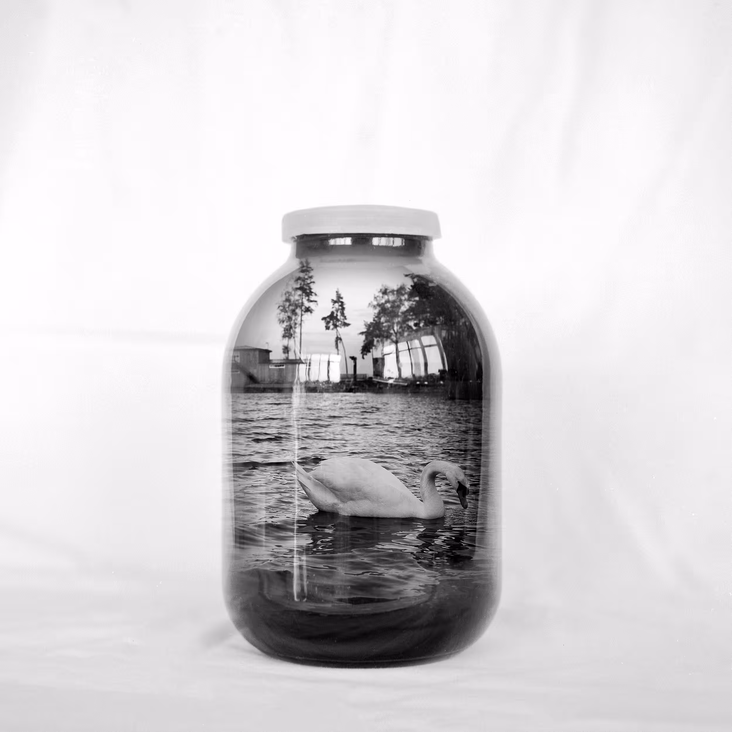 Jar with swimming swan