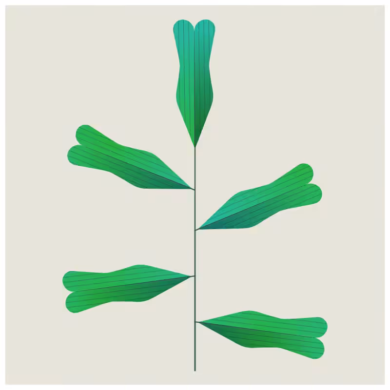 Leaves #17