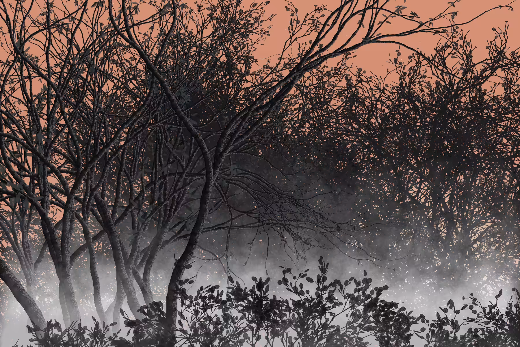 Morning Mist #12