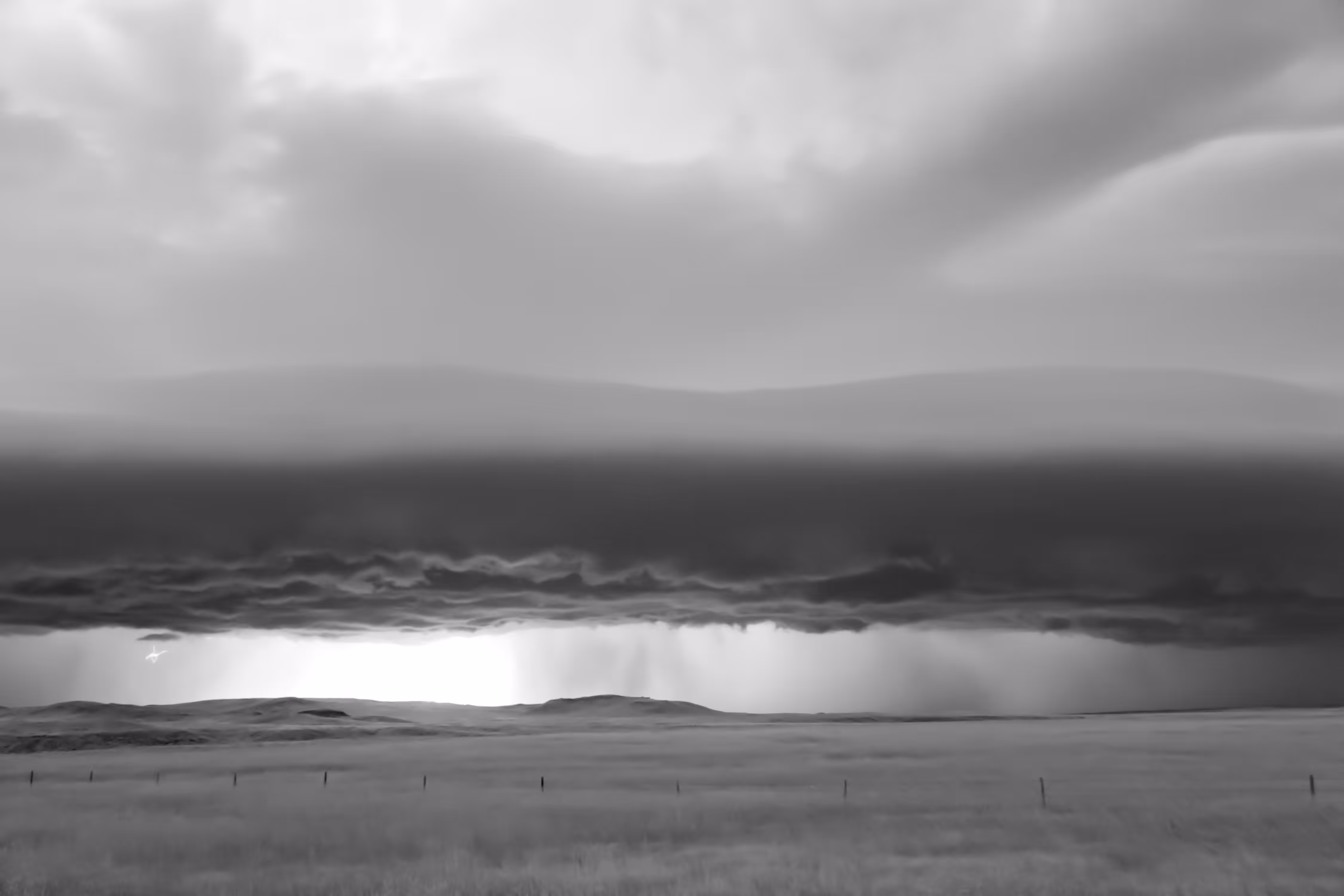 Storms - Shelve