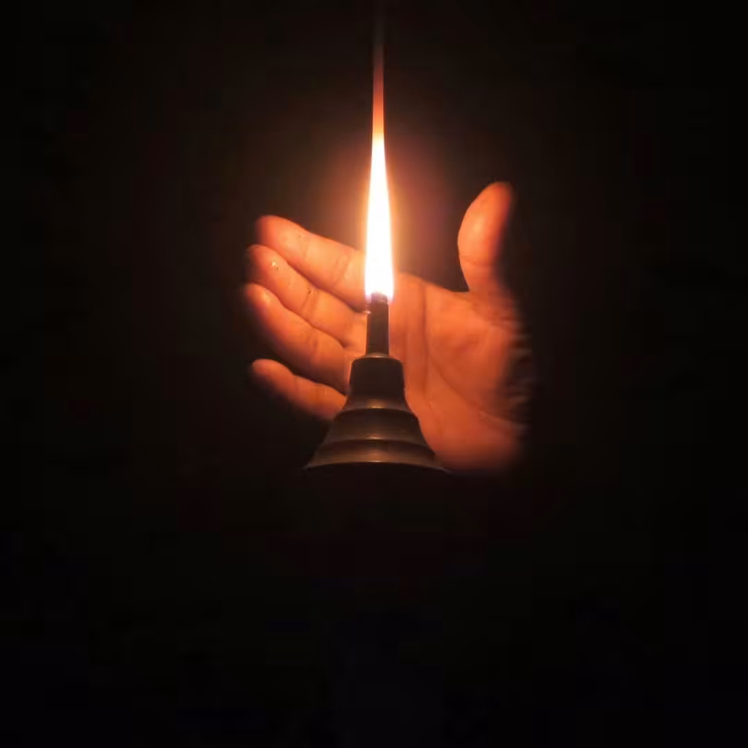 Seize the light