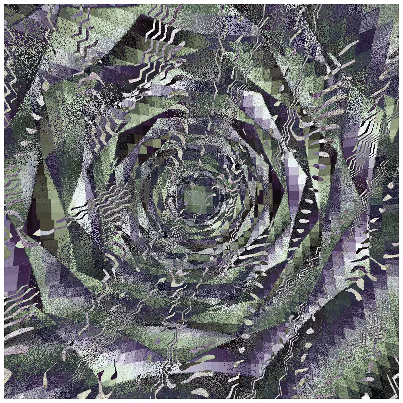 rosette #88