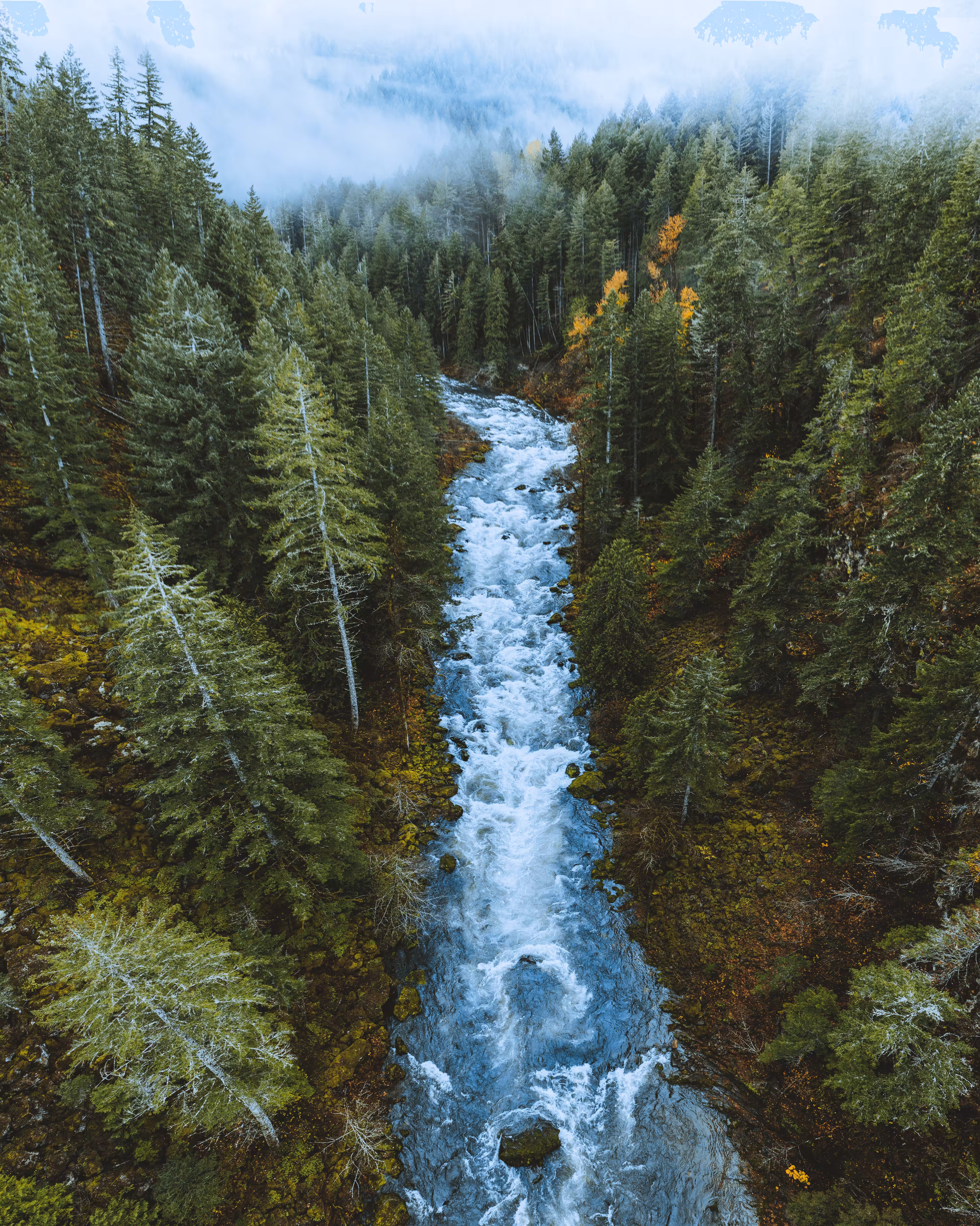 Petrichor #4 - River Rush