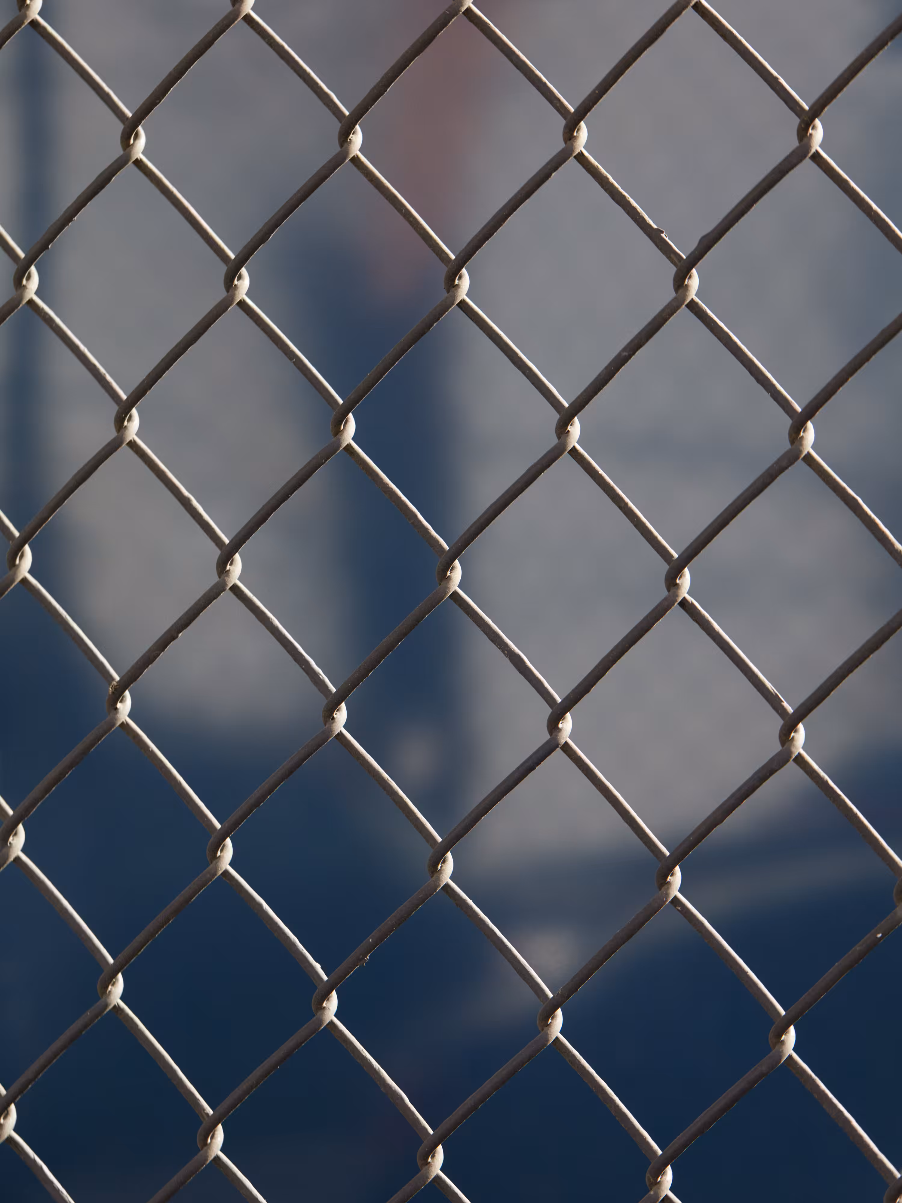 CHAINLINK № 5