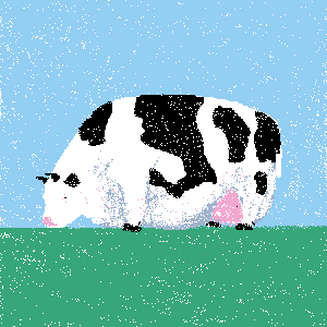 cow #103