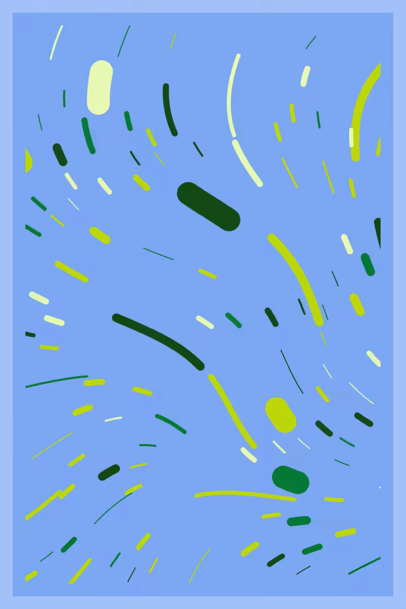 Alsophis Antiguae: Echoes in the Flow #2