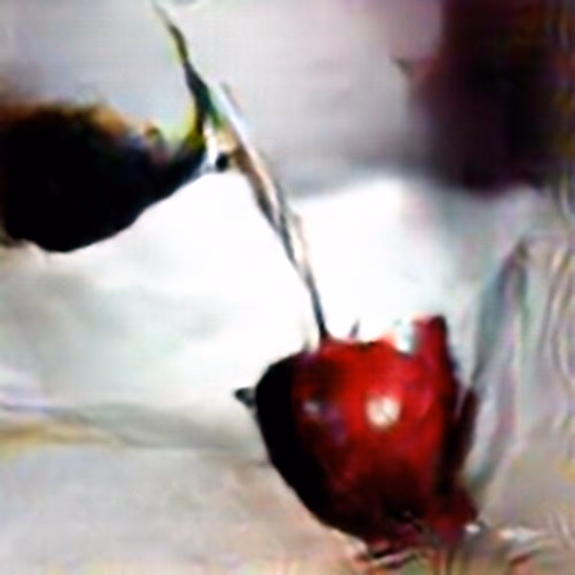 Cherry #4 (Corpus: Still Life Objects of the Renaissance)
