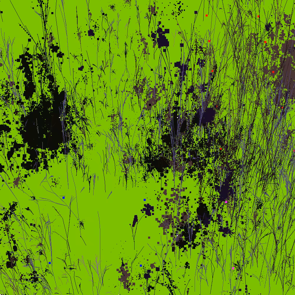 Infinite Garden: 11665 Flowers