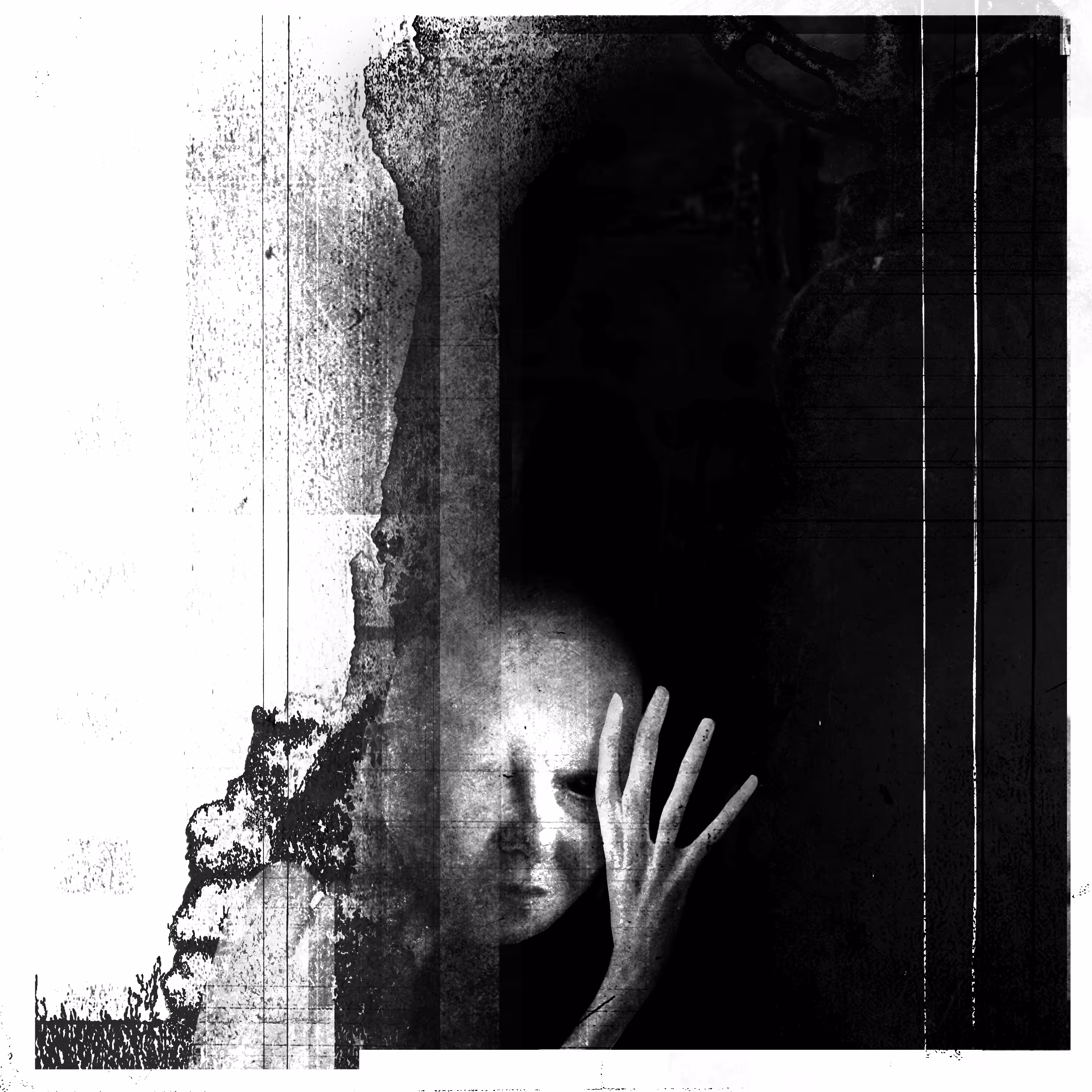 The Recluse