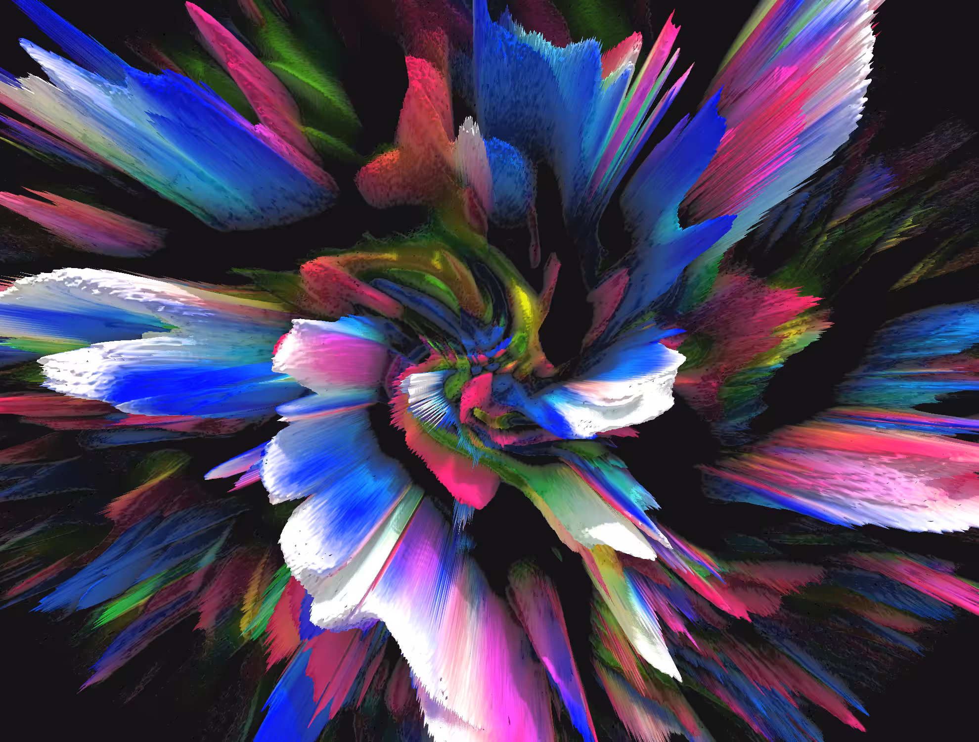 A flower for you 