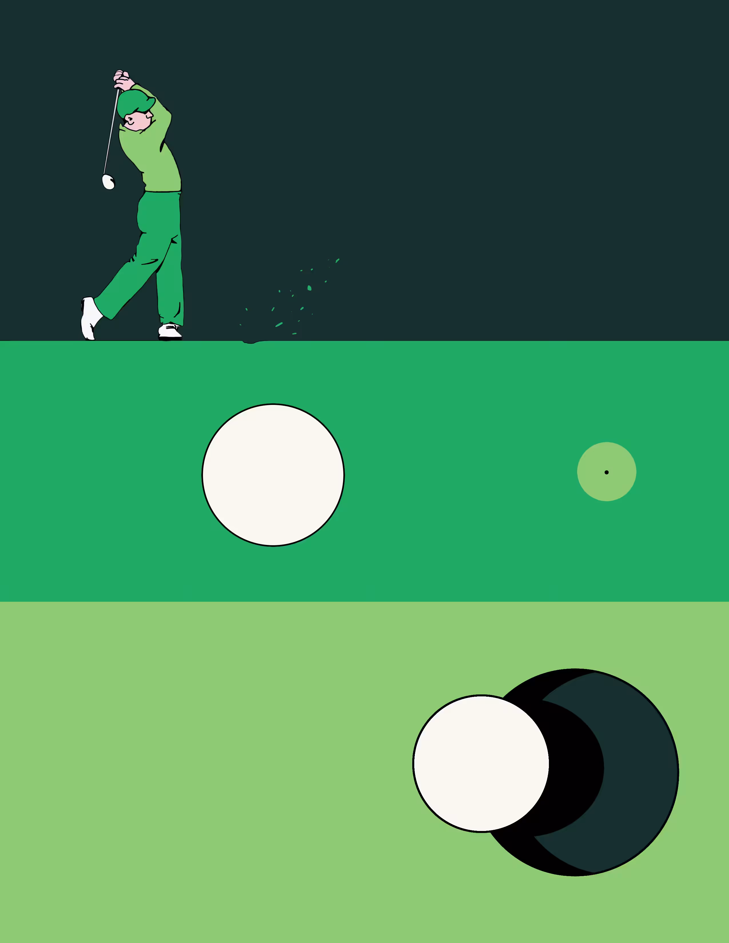 Albatross