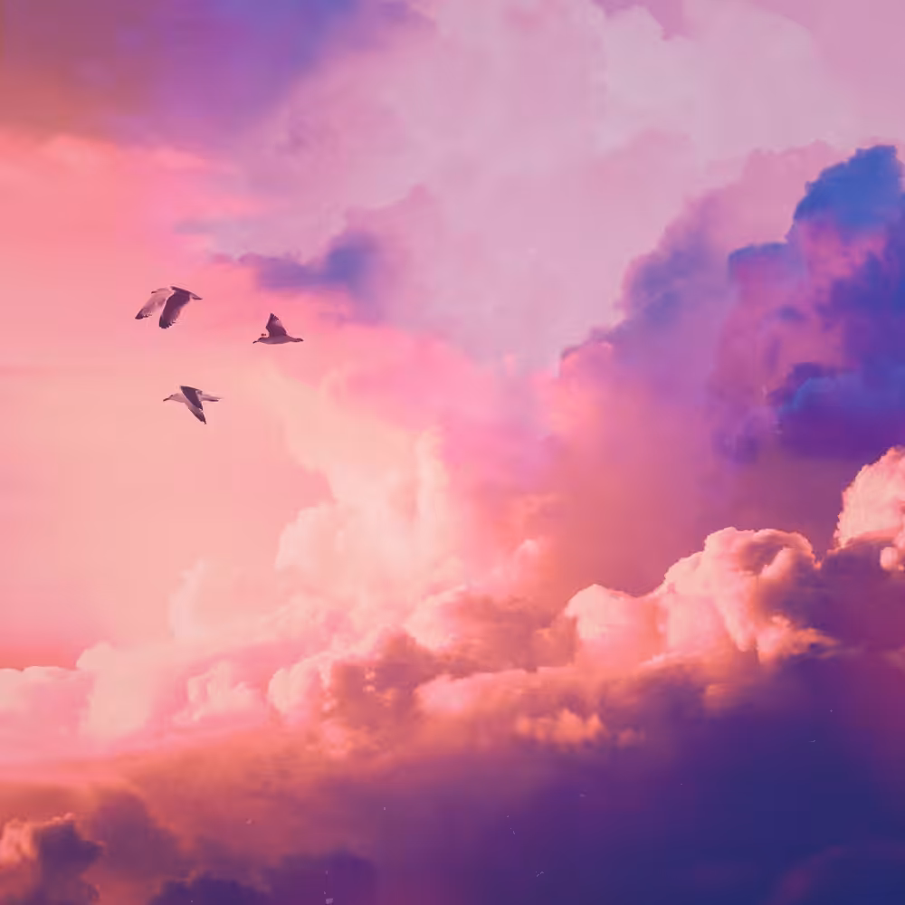 Shørsh Skies #1