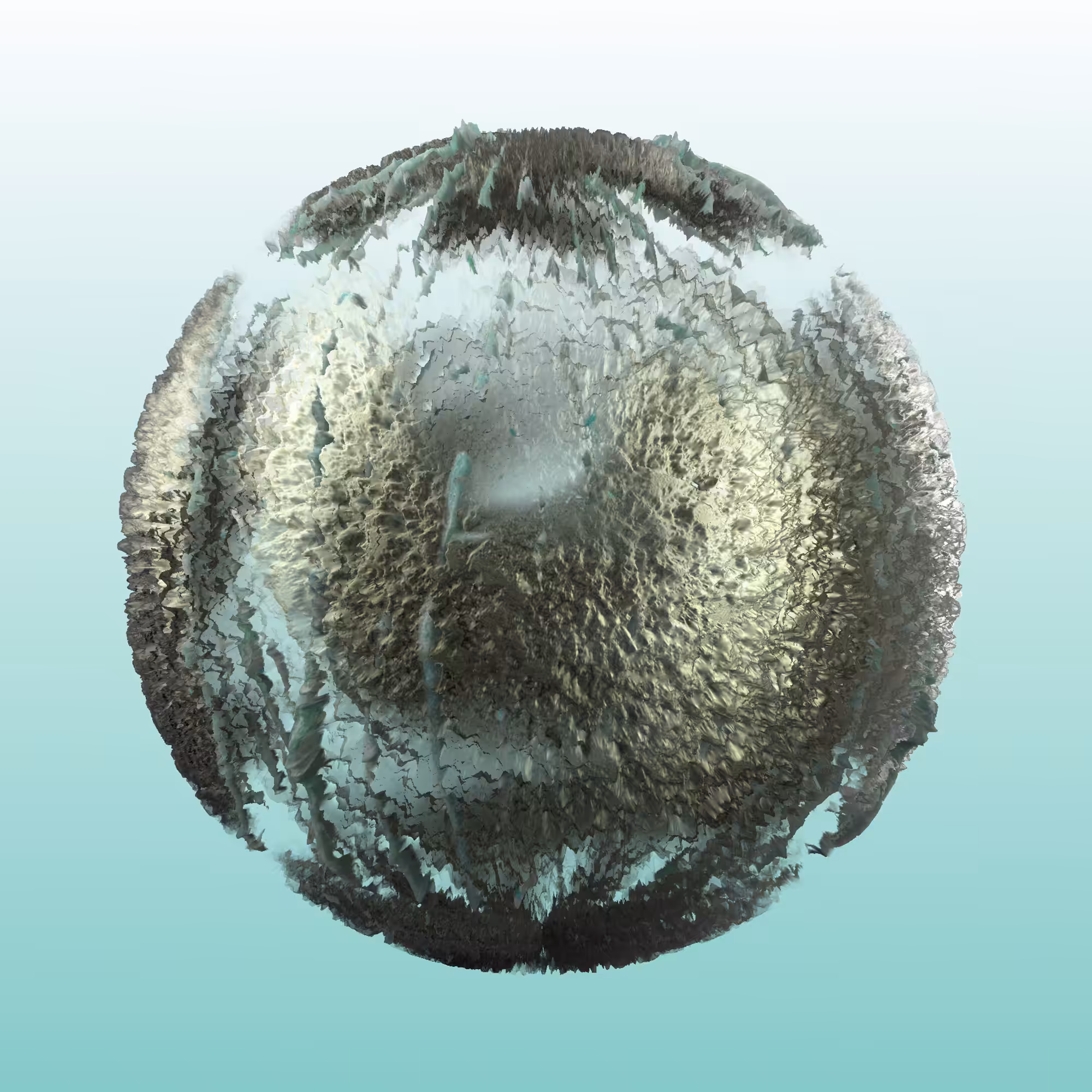 Pereamus N.2
