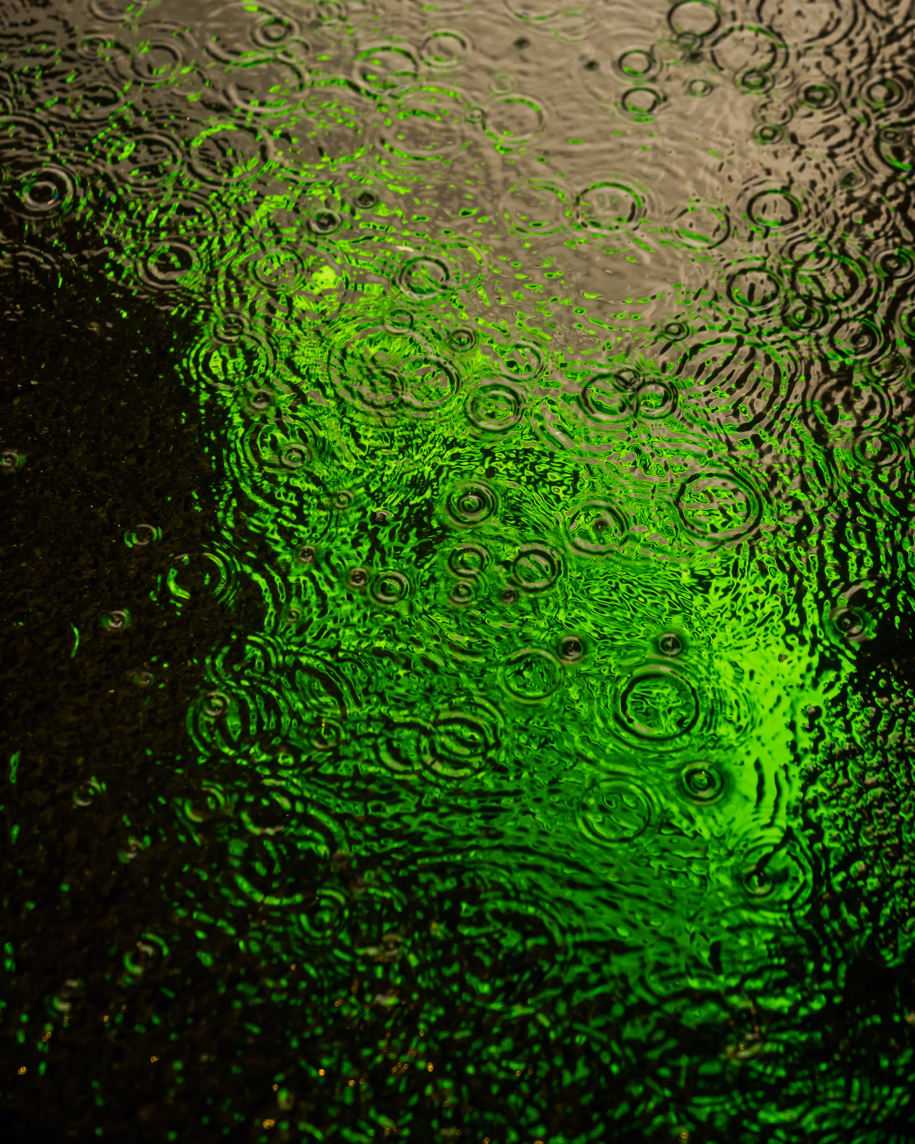DRIP DROP: DRIP #877