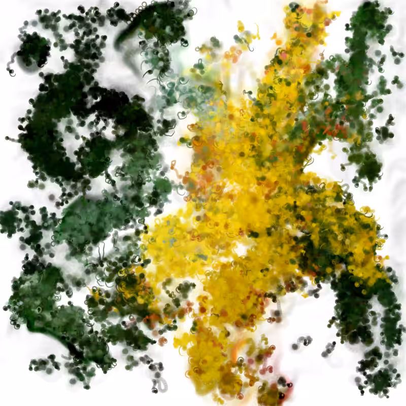 Hypericum #123