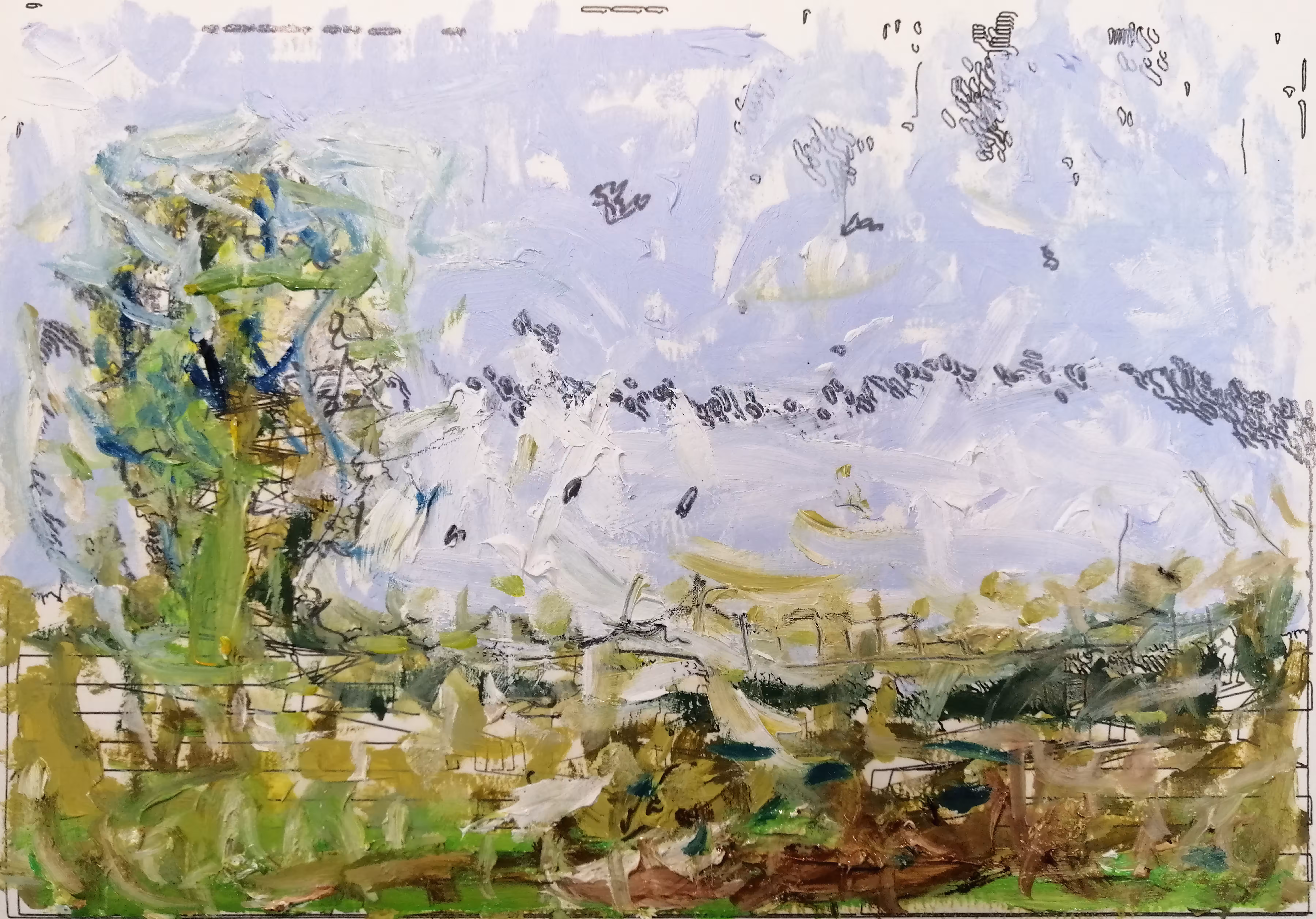 A tree and birds