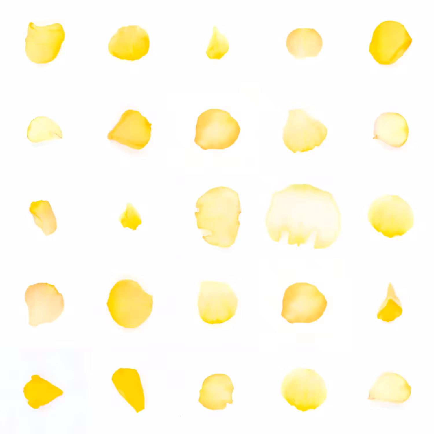 Infinite Petals 5x5#1726