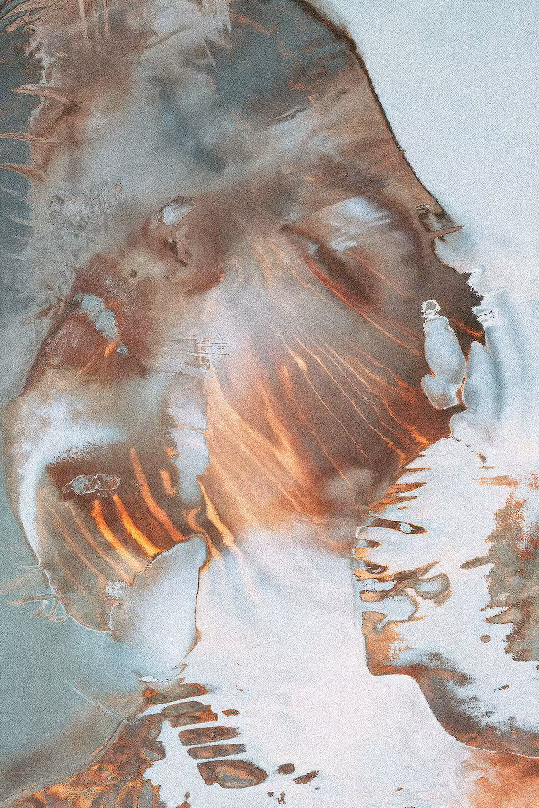 Morphing Muse 15