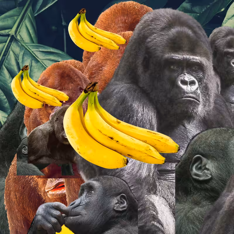 Banana #1 #39