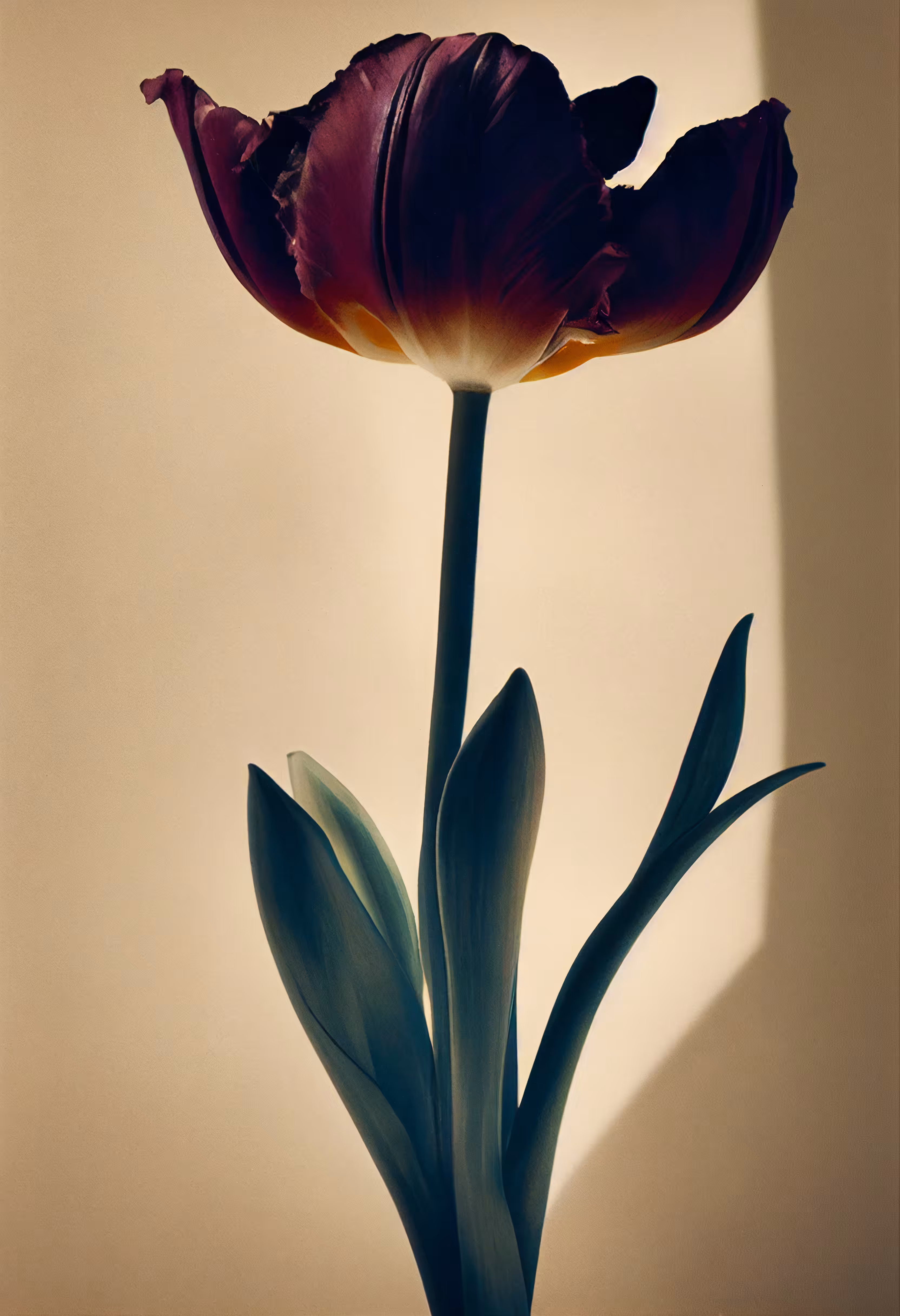 A Flower, Just For You. #112