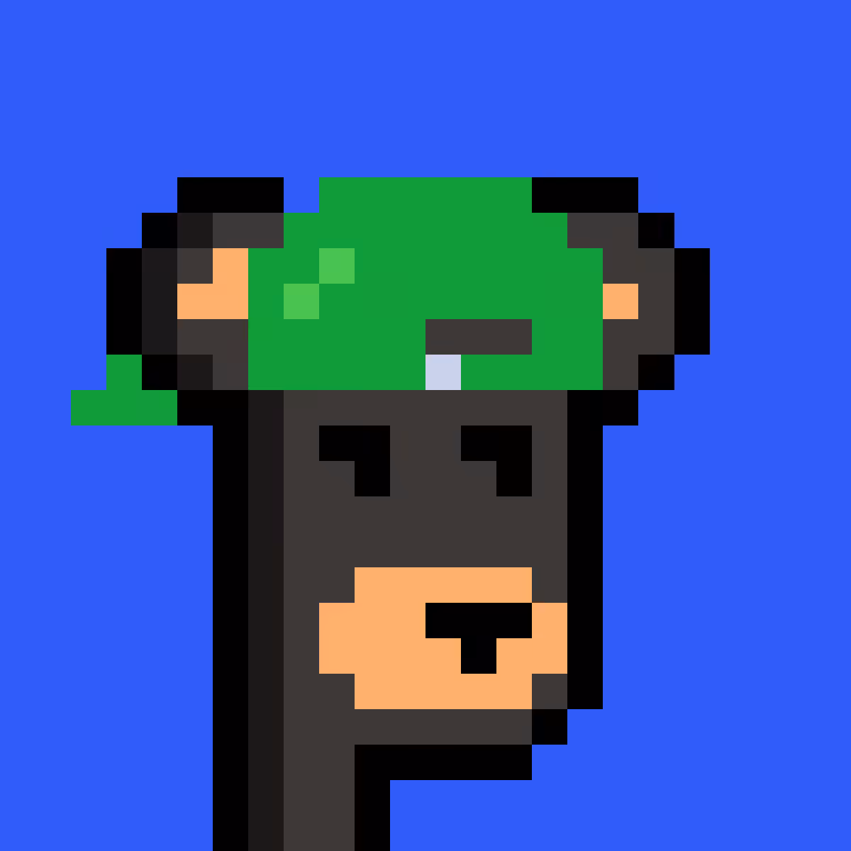 BearPunks #1254