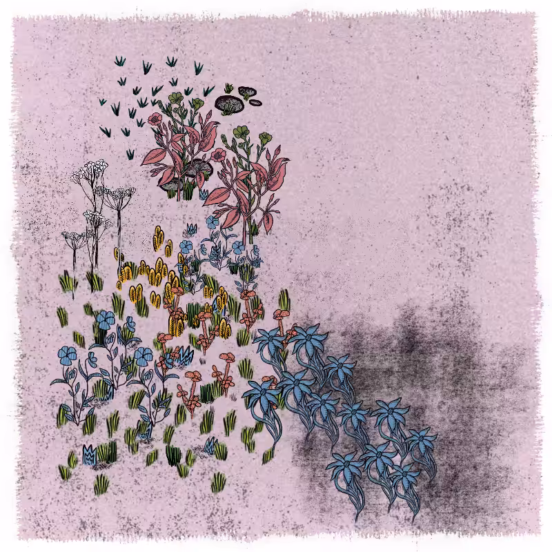 Gardens  #76